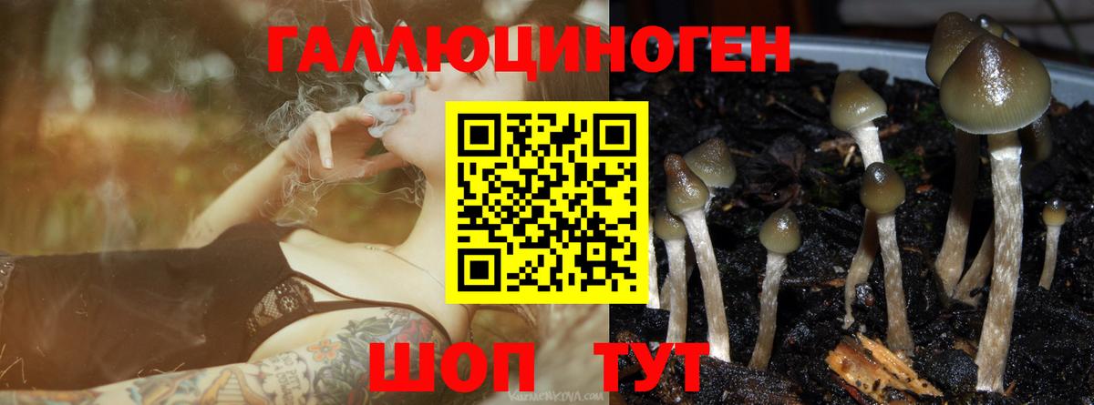 Трёхгорный  Галлюциногенные грибы мицелий  Вход с VPN 